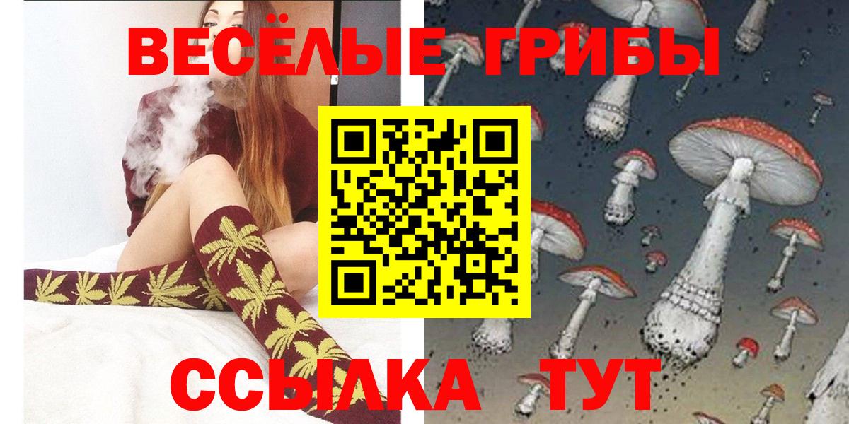 Галлюциногенные грибы Psilocybe Баксан