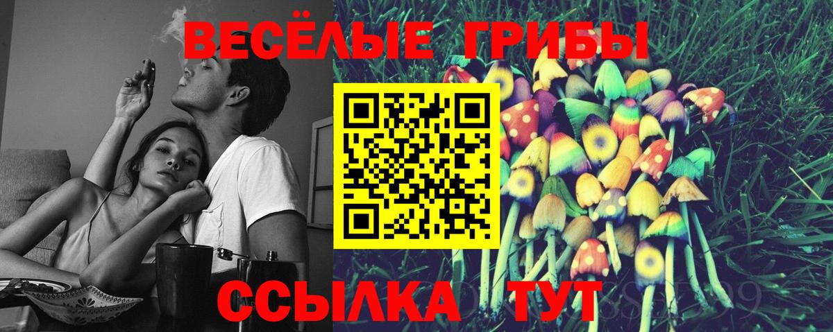 Галлюциногенные грибы Magic Shrooms  Вход с VPN  Галлюциногенные грибы Magic Shrooms  Баксан 
